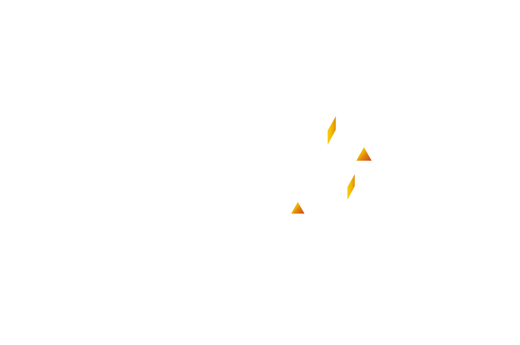 INTEZIA Foundation